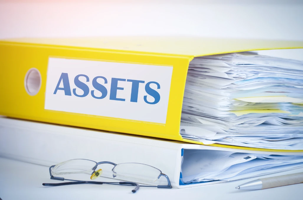 Assets definition and the Different types of assets